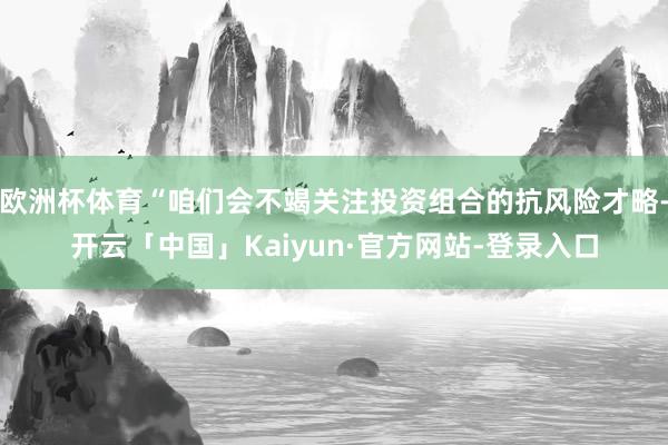欧洲杯体育“咱们会不竭关注投资组合的抗风险才略-开云「中国」Kaiyun·官方网站-登录入口