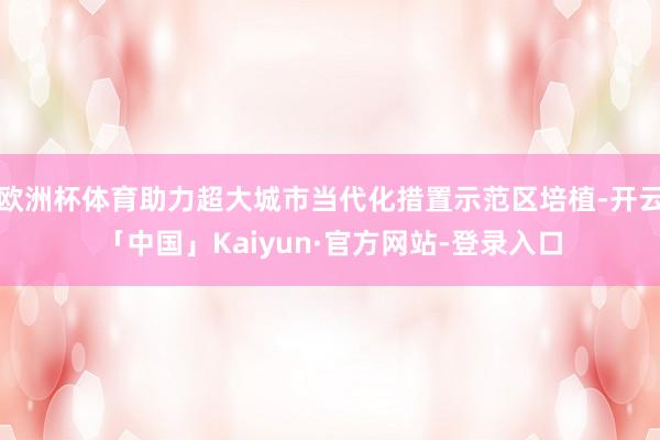 欧洲杯体育助力超大城市当代化措置示范区培植-开云「中国」Kaiyun·官方网站-登录入口