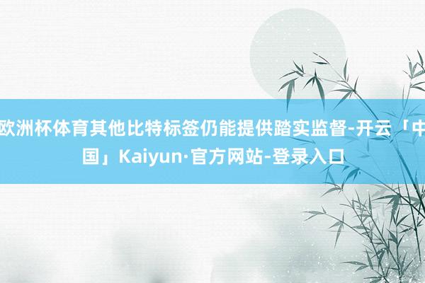 欧洲杯体育其他比特标签仍能提供踏实监督-开云「中国」Kaiyun·官方网站-登录入口