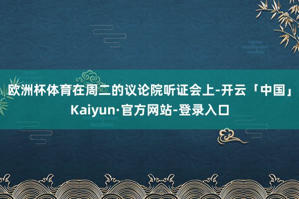 欧洲杯体育　　在周二的议论院听证会上-开云「中国」Kaiyun·官方网站-登录入口
