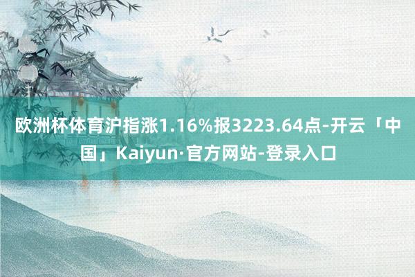 欧洲杯体育沪指涨1.16%报3223.64点-开云「中国」Kaiyun·官方网站-登录入口