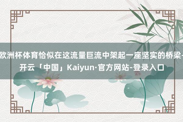 欧洲杯体育恰似在这流量巨流中架起一座坚实的桥梁-开云「中国」Kaiyun·官方网站-登录入口