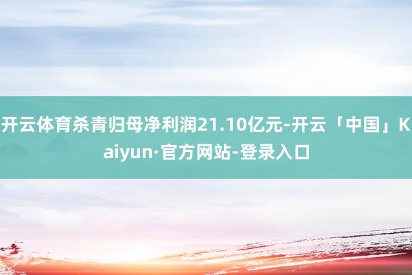 开云体育杀青归母净利润21.10亿元-开云「中国」Kaiyun·官方网站-登录入口