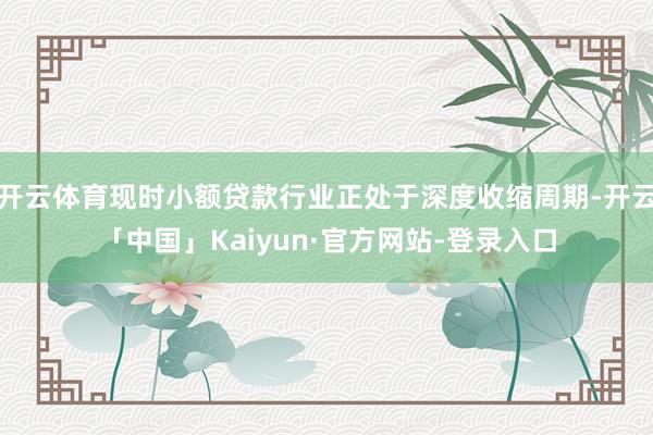 开云体育现时小额贷款行业正处于深度收缩周期-开云「中国」Kaiyun·官方网站-登录入口