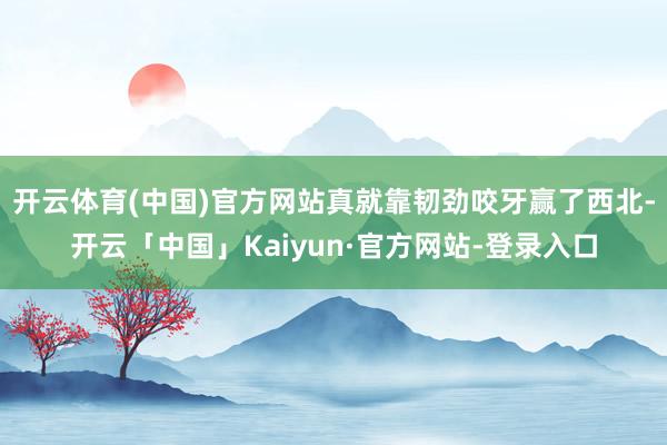 开云体育(中国)官方网站真就靠韧劲咬牙赢了西北-开云「中国」Kaiyun·官方网站-登录入口