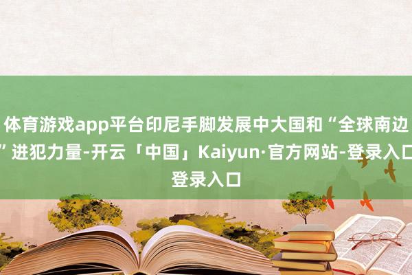 体育游戏app平台印尼手脚发展中大国和“全球南边”进犯力量-开云「中国」Kaiyun·官方网站-登录入口