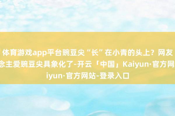 体育游戏app平台豌豆尖“长”在小青的头上?网友:四川东说念主爱豌豆尖具象化了-开云「中国」Kaiyun·官方网站-登录入口