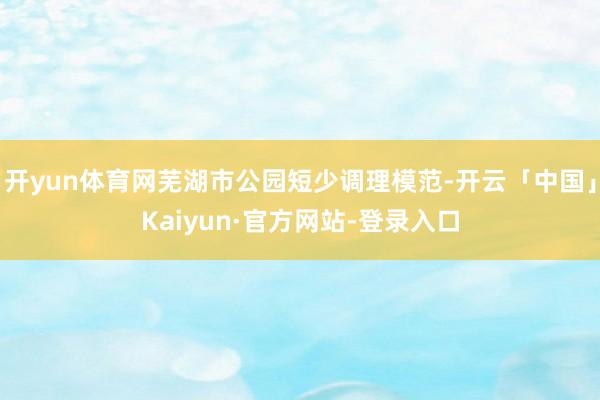 开yun体育网芜湖市公园短少调理模范-开云「中国」Kaiyun·官方网站-登录入口
