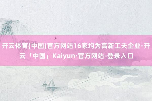 开云体育(中国)官方网站16家均为高新工夫企业-开云「中国」Kaiyun·官方网站-登录入口