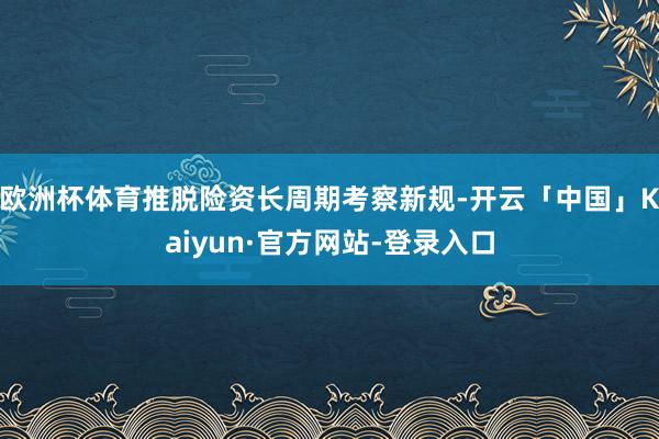 欧洲杯体育推脱险资长周期考察新规-开云「中国」Kaiyun·官方网站-登录入口