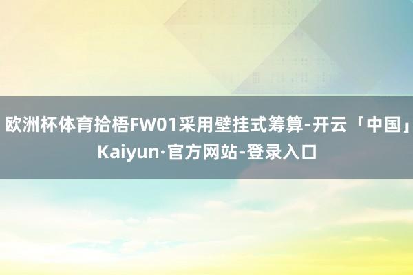 欧洲杯体育拾梧FW01采用壁挂式筹算-开云「中国」Kaiyun·官方网站-登录入口